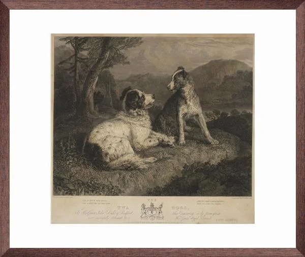 TWA Dogs Brown Frame .jpg