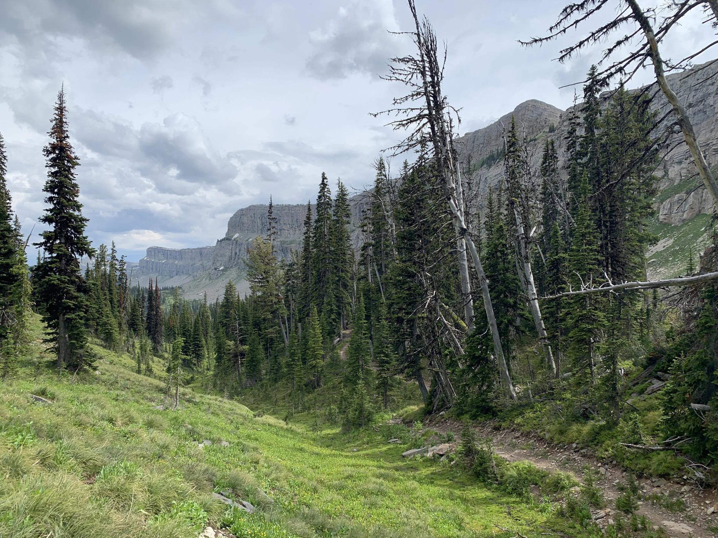 cdt-39-IMG_2019.JPEG