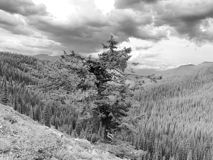 cdt-03-bob-marshall-wilderness.jpg