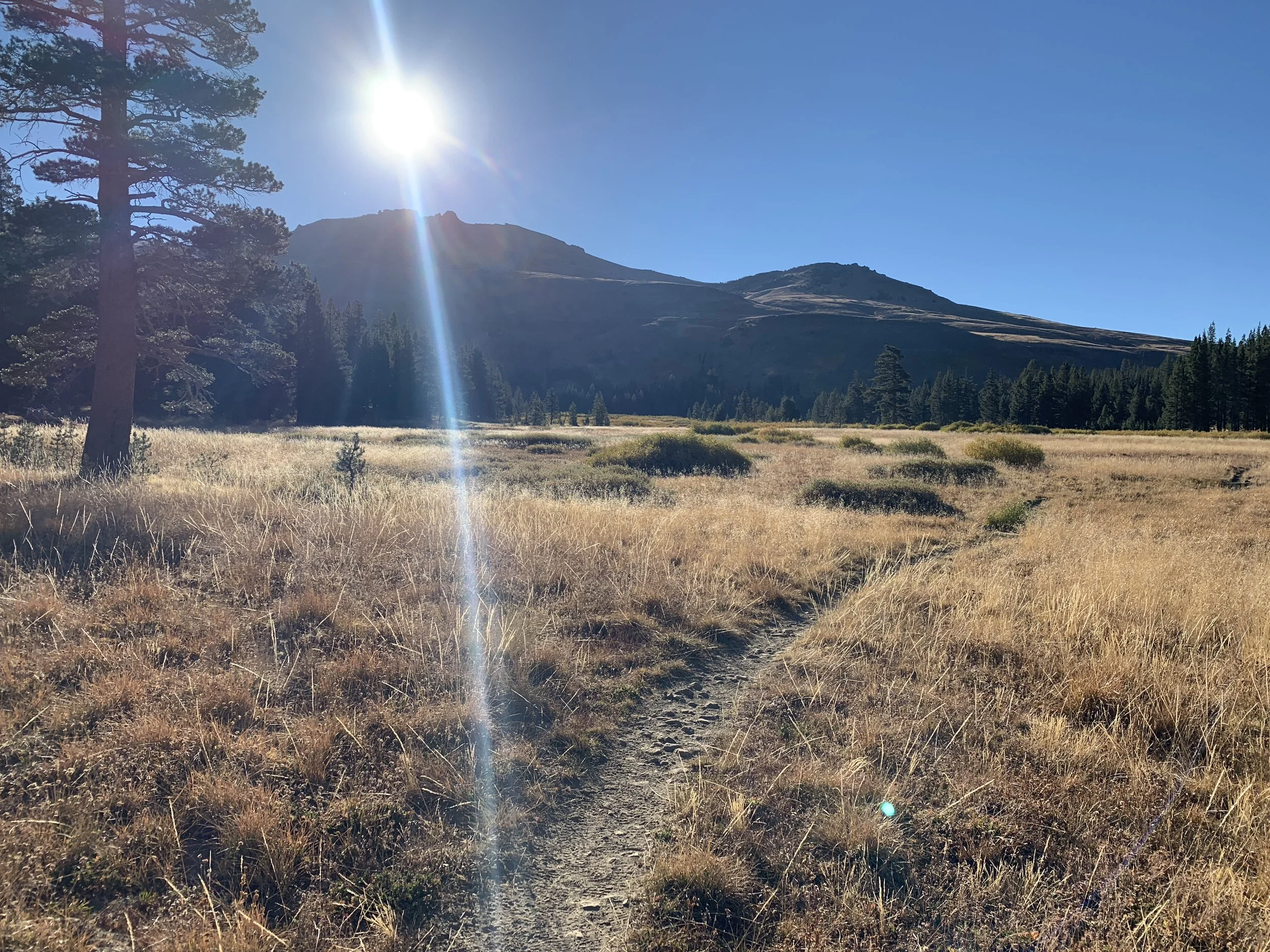 pct-10-IMG_0059.JPEG