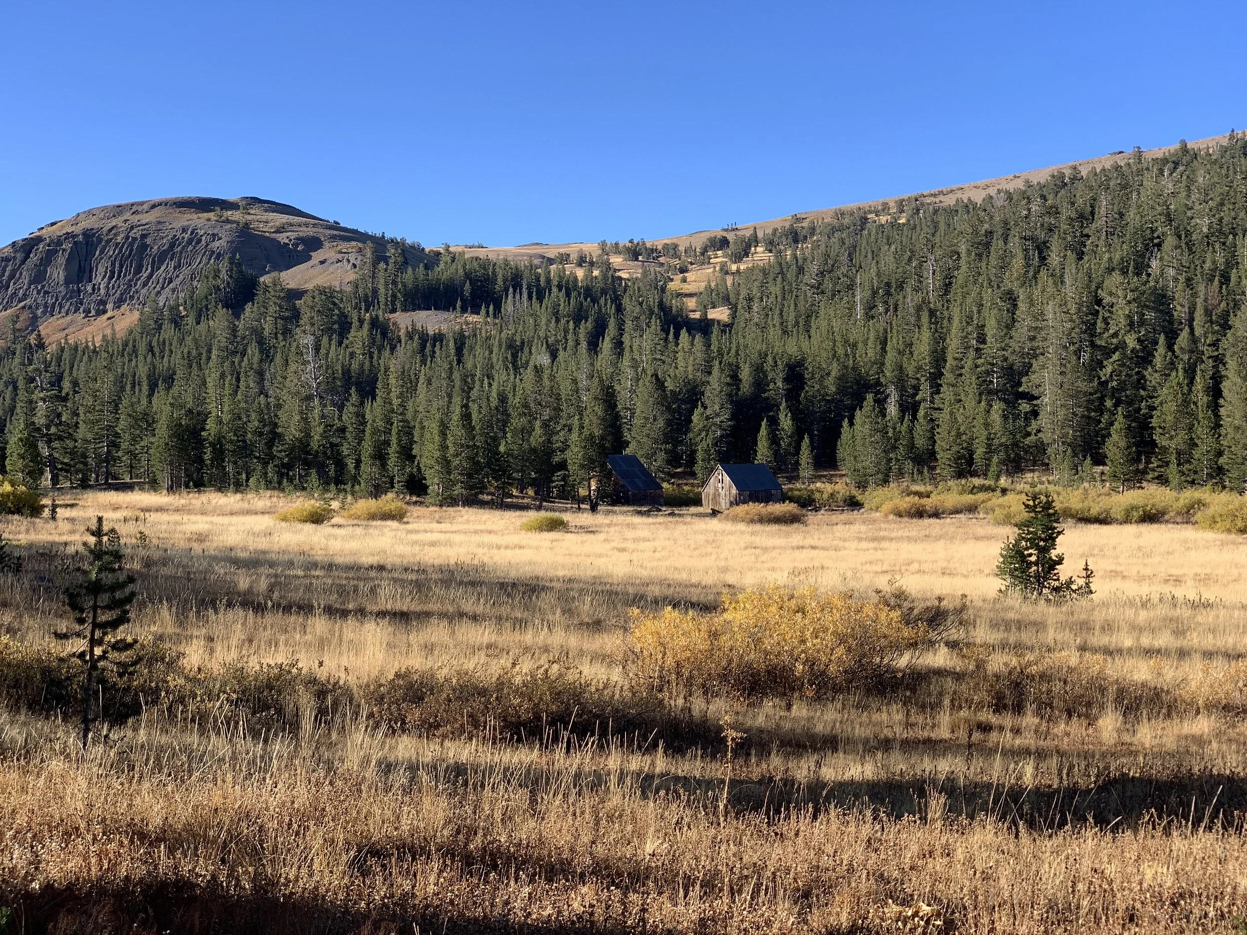 pct-09-IMG_0058.JPEG