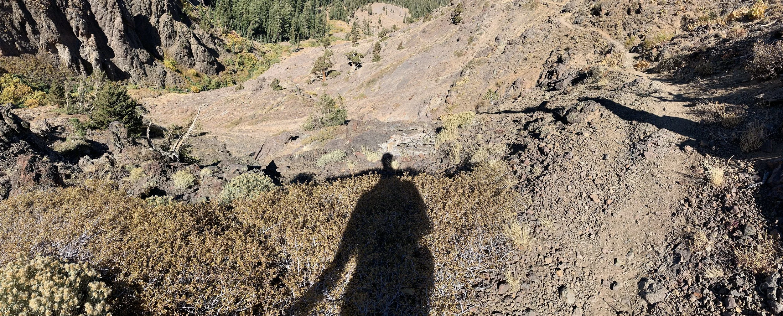 pct-65-IMG_0113-upload.JPEG