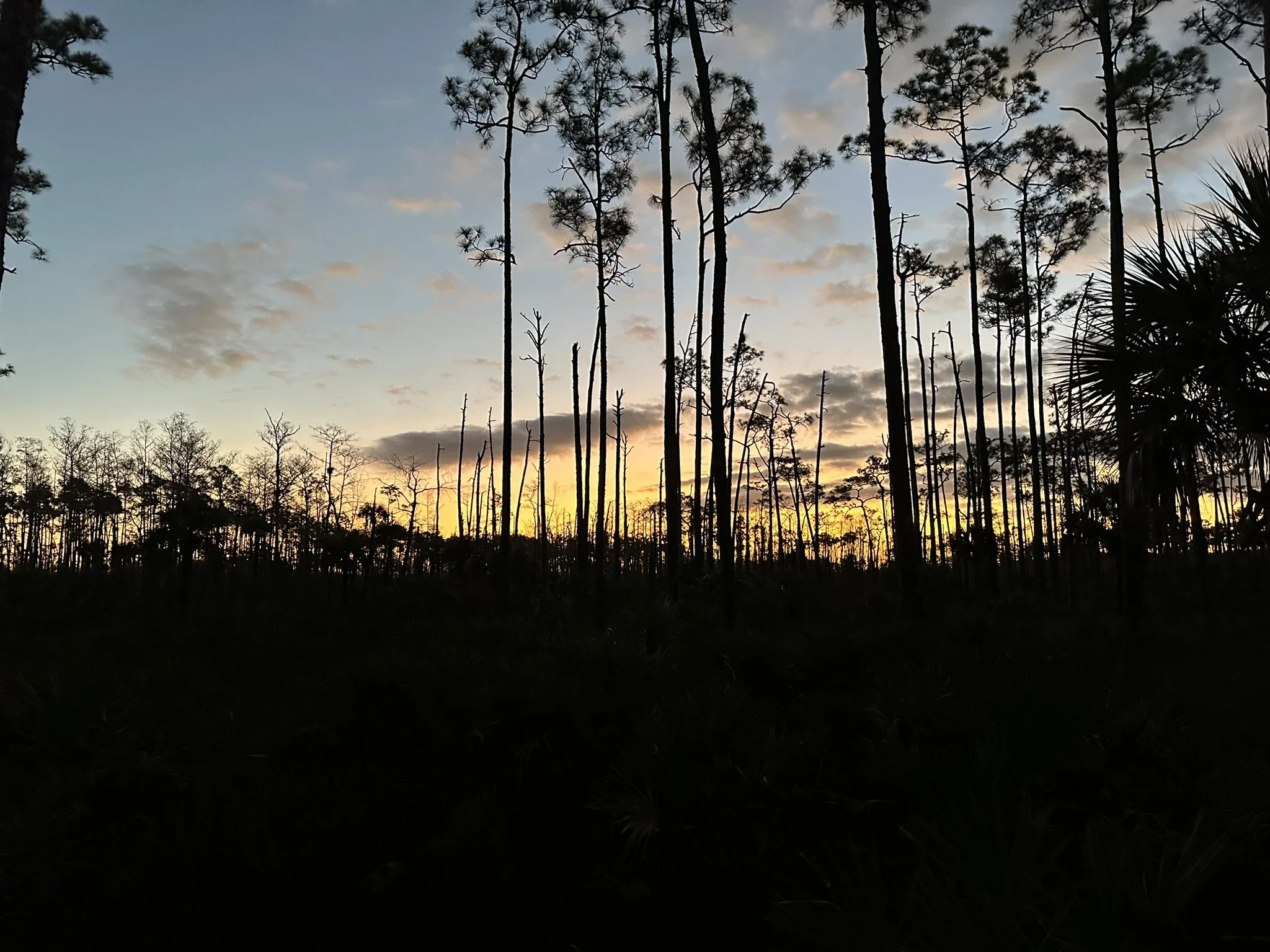 ft-11-IMG_0857.jpeg