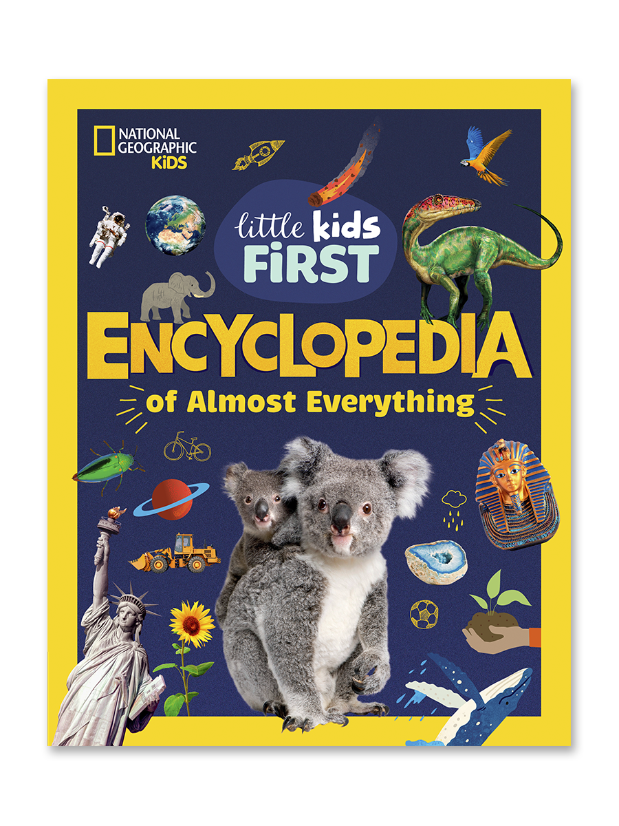 Little Kids First Encyclopedia of Almost Everything