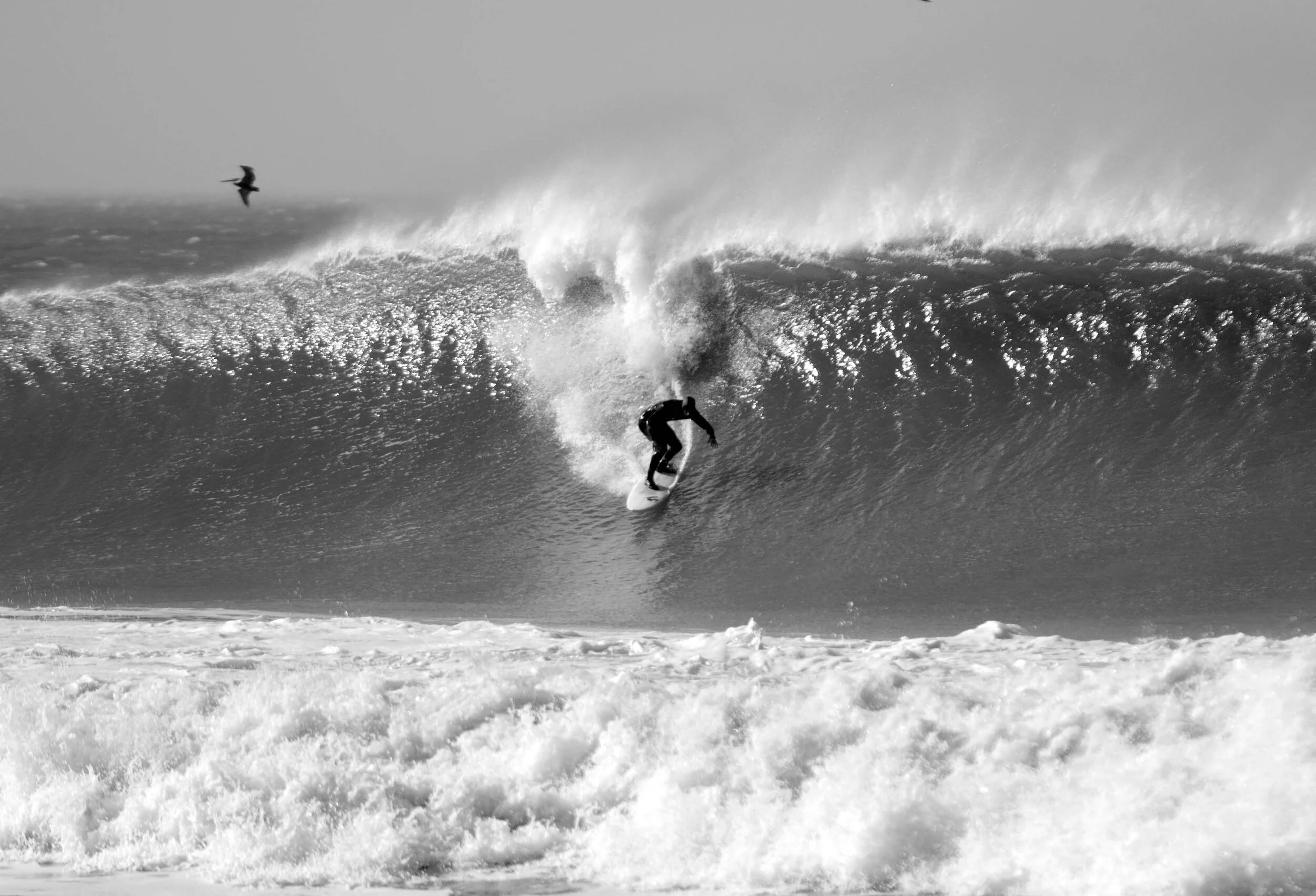 Action_Cardone_DSC_5896BW.jpg