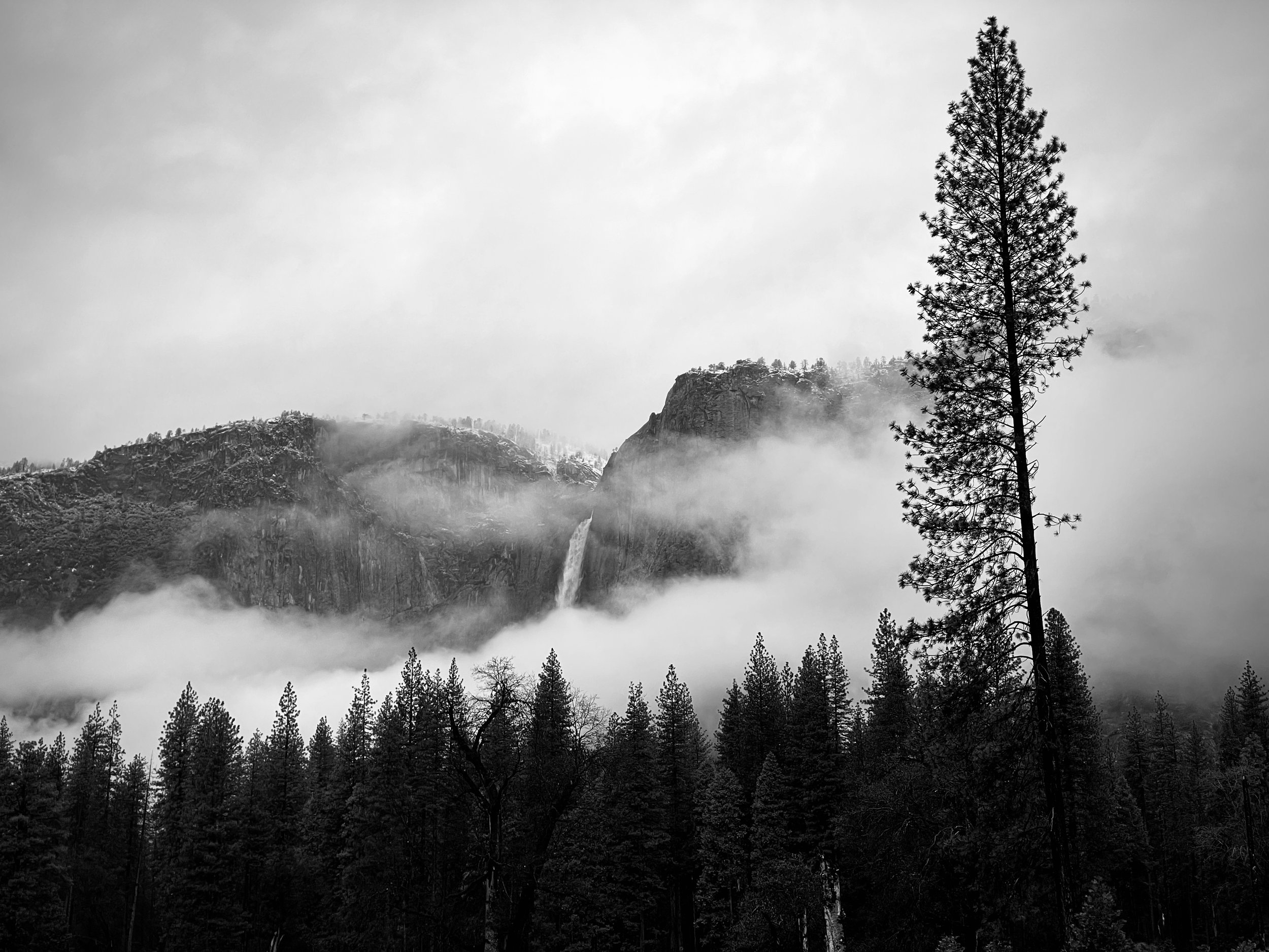Rainy Day Yosemite Falls