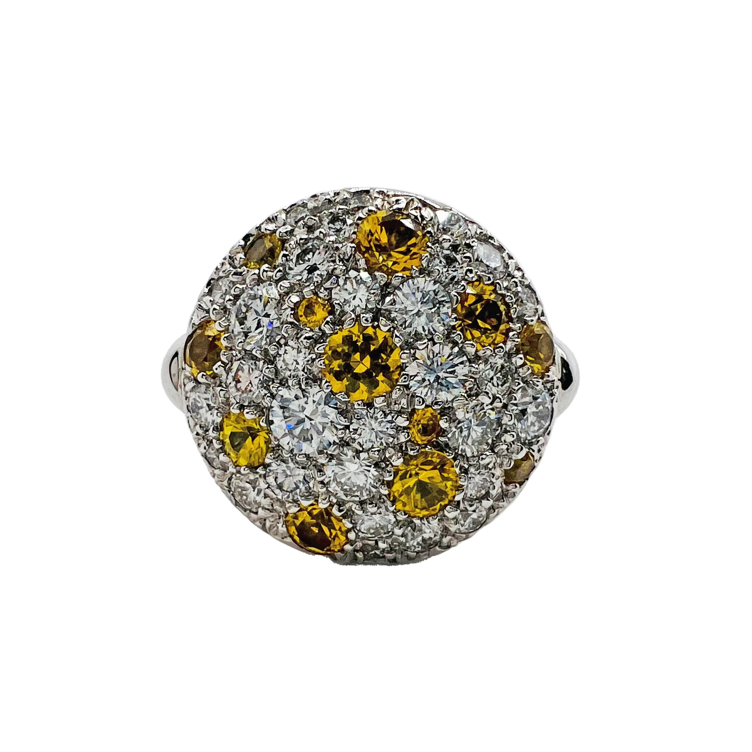 AP221-18WQ4-YS-FRONT.jpg