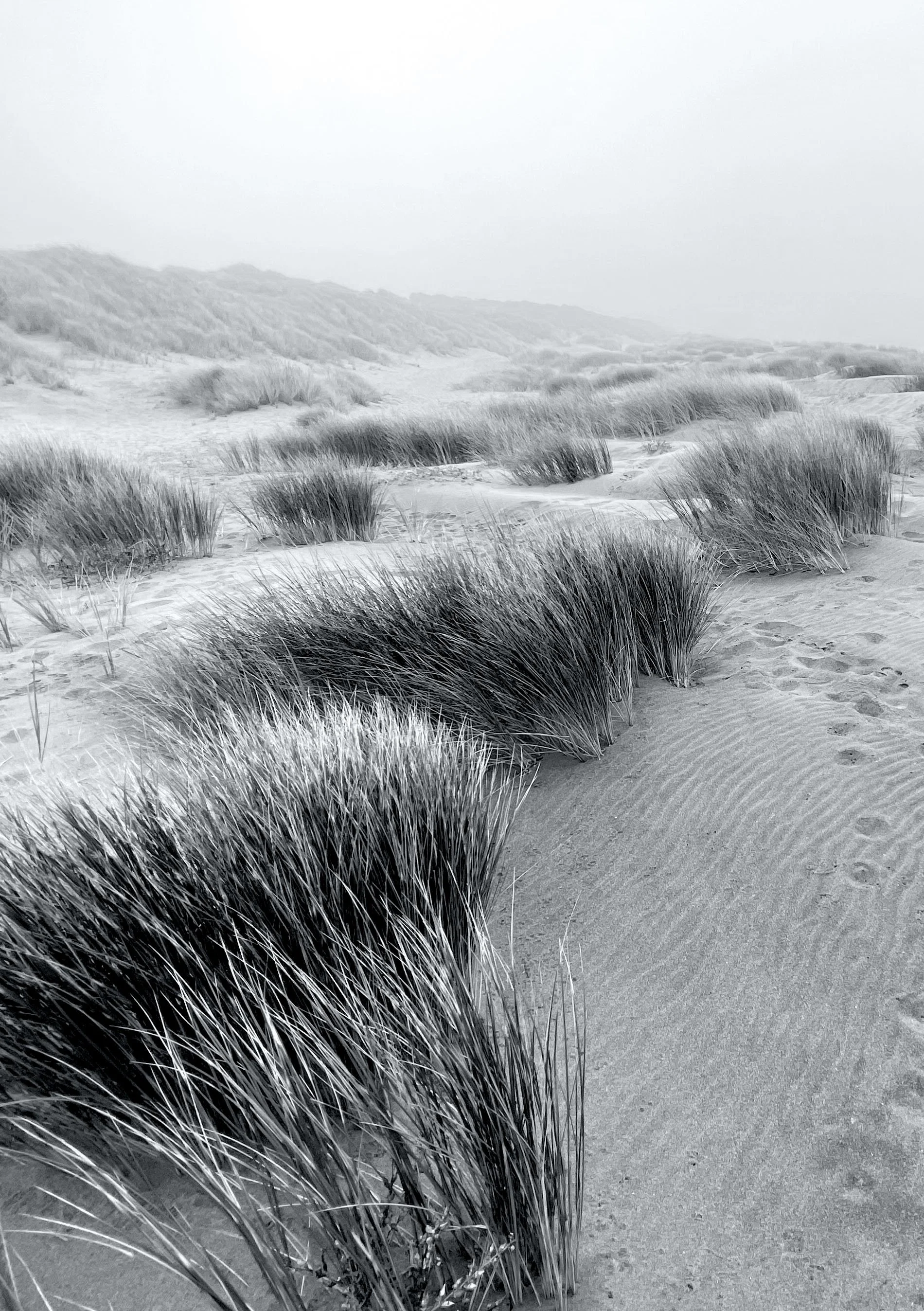 dunes BW.jpg
