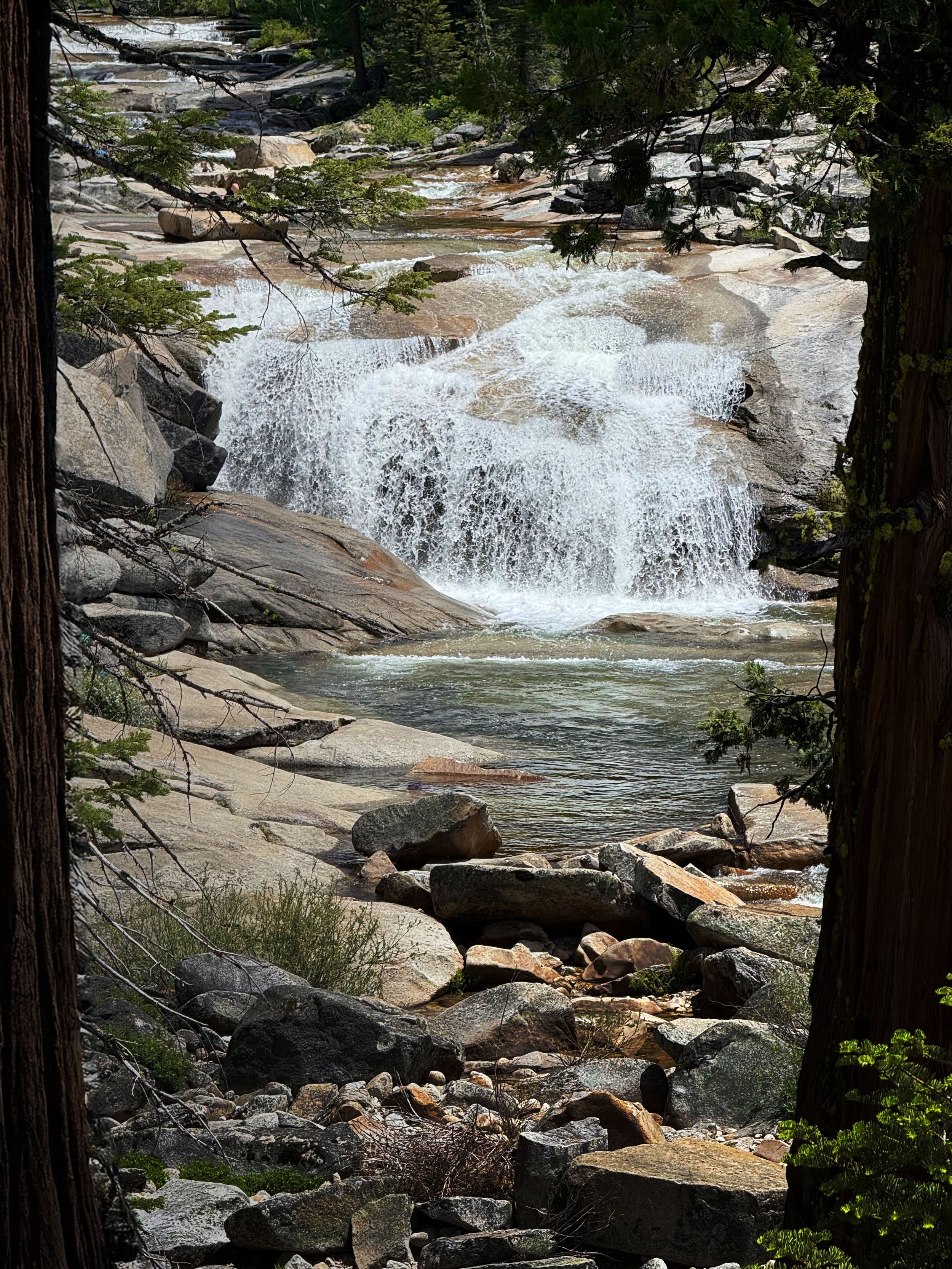 Lower Bassi framed.jpg