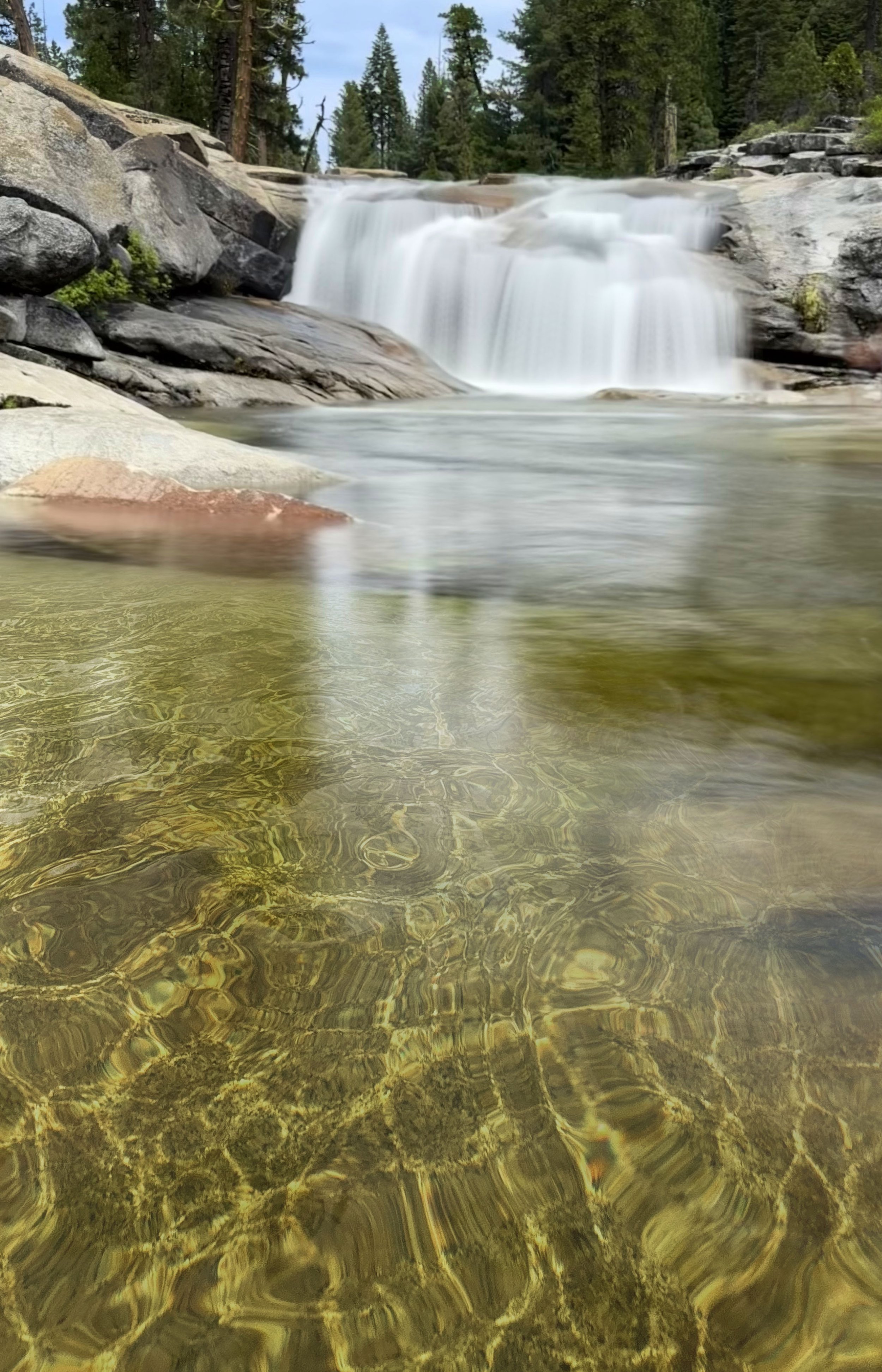 lower bassi.jpg