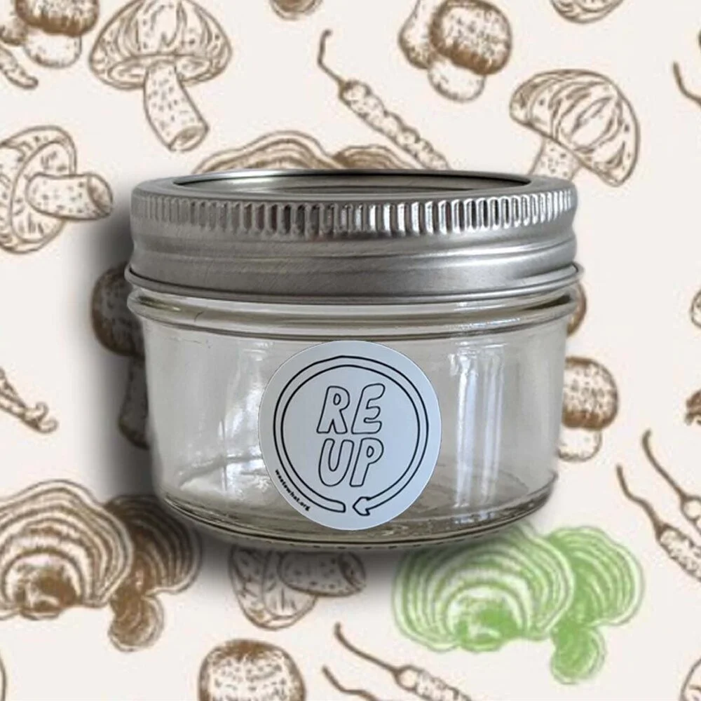 Turkey Tail Mushroom Powder