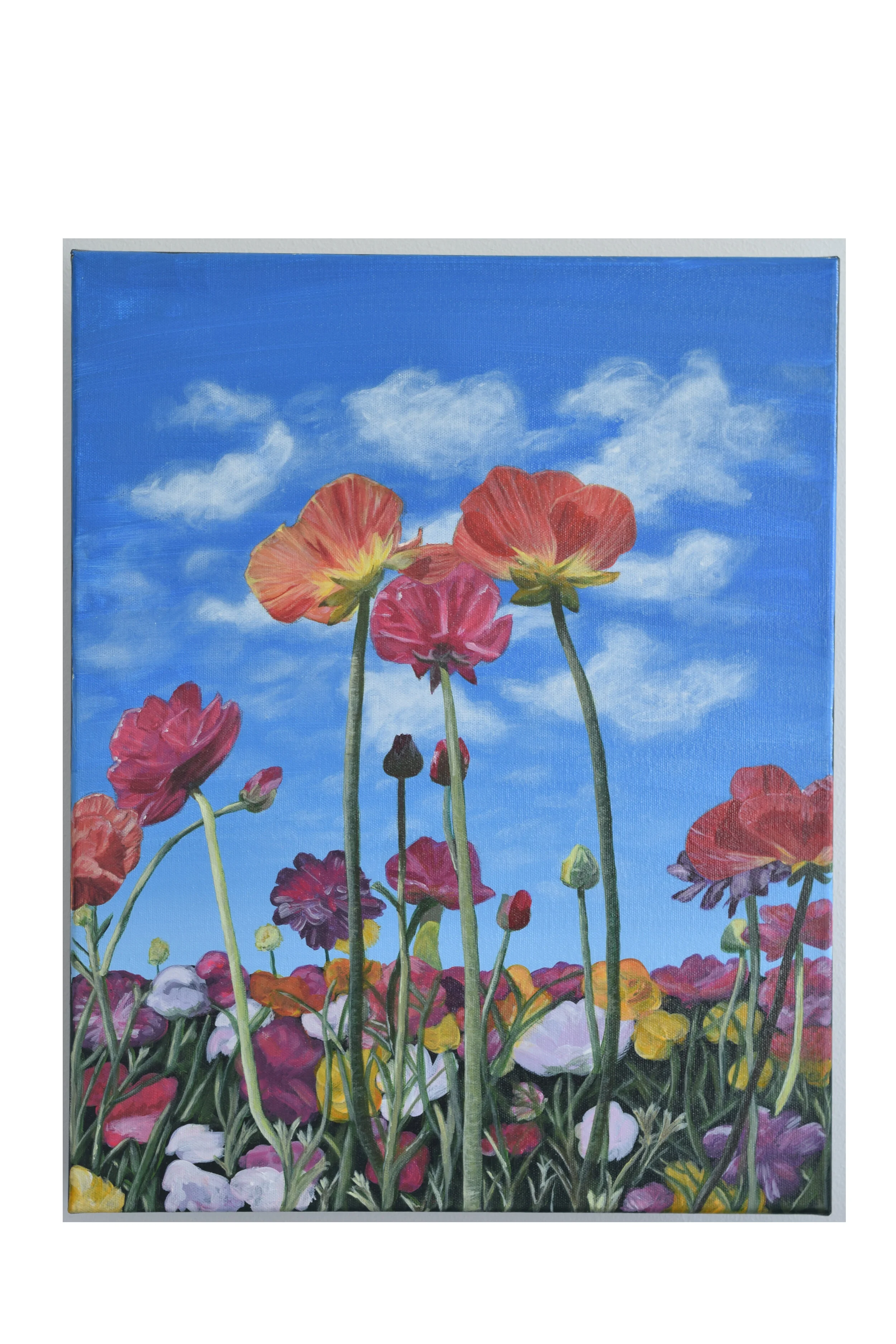 Tall Poppies.JPG