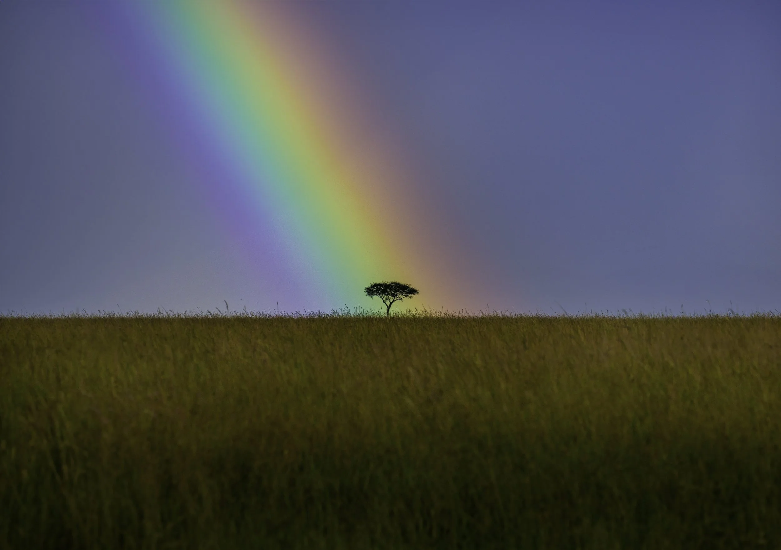 IMG_5614-Rainbow in Kenya.jpg