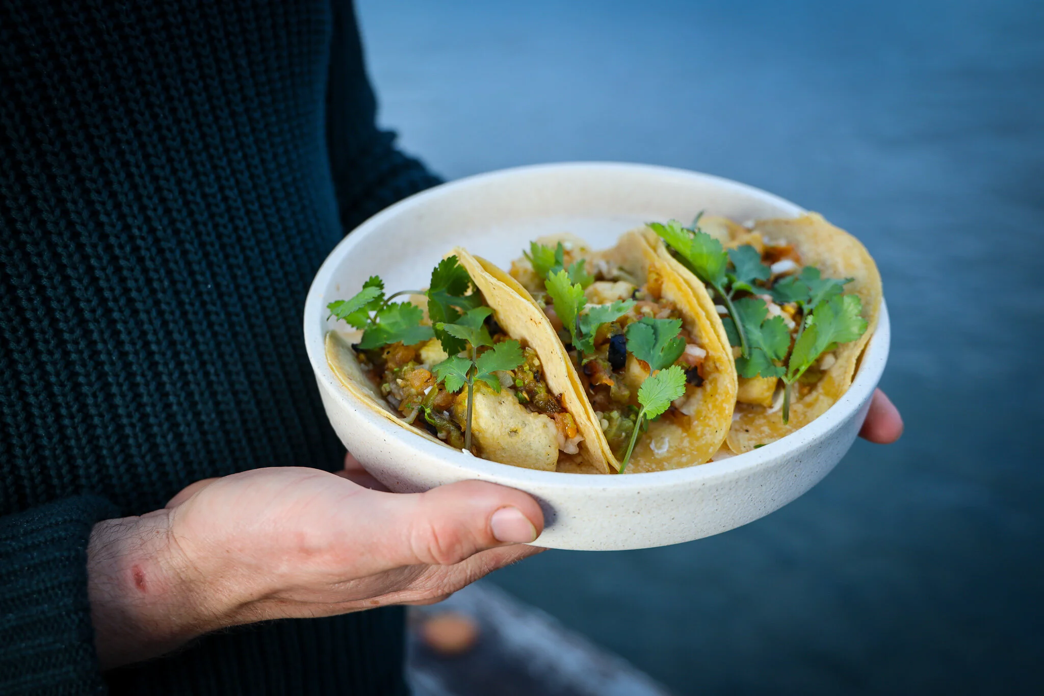 Deep Fried Oyster Tacos
