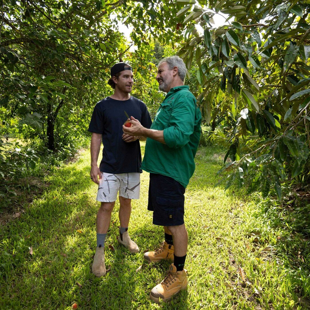 There can't be many better places to grow tropical fruit than in the middle of the rainforest on Cape Tribulation, and that's exactly where @cape_trib_farm is! @hayden_quinn had a great farm gate tasting experience with Jeremy and Merran, and if you'
