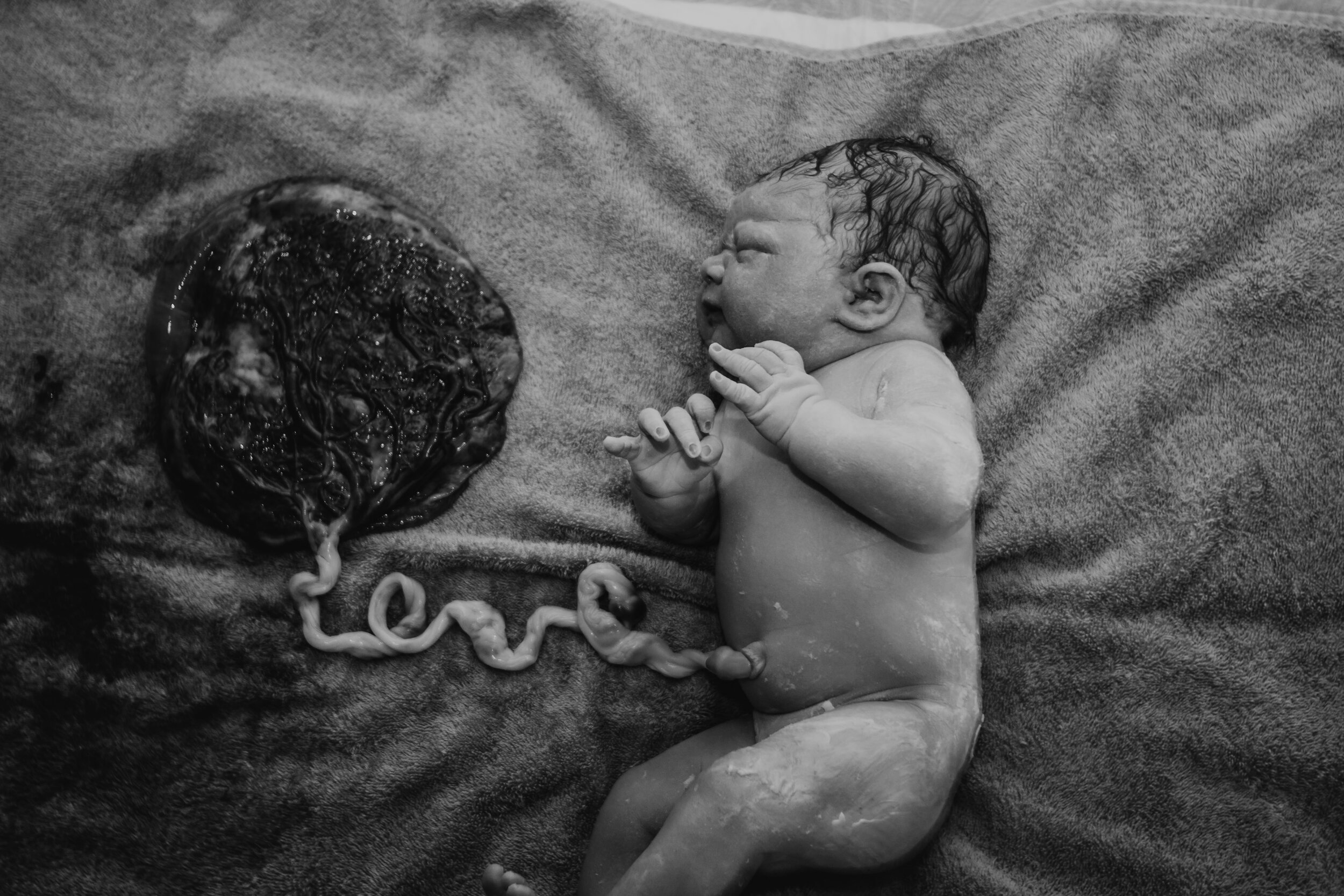 Poconos homebirth photographer 