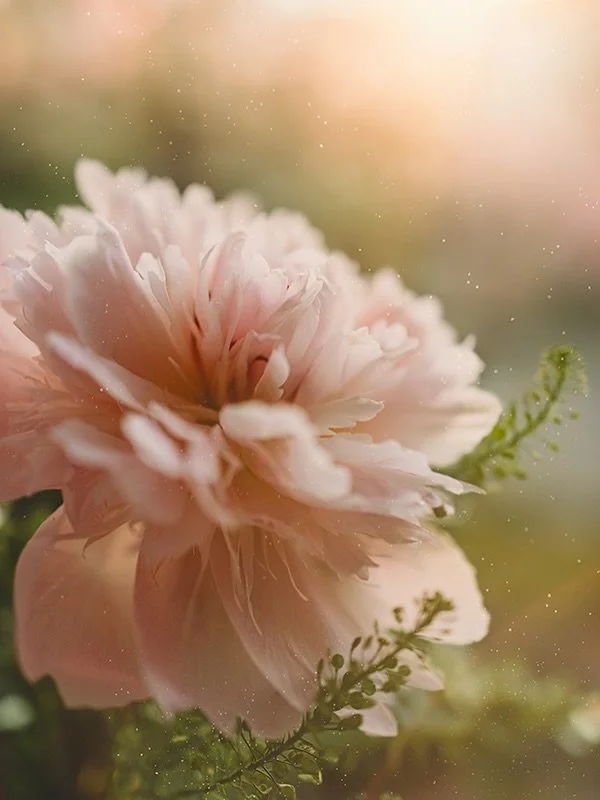 I thought I wouldn&rsquo;t be traveling abroad this year but a last minute opportunity popped up and now I&rsquo;m off on a three week adventure, two of which will be by myself! I&rsquo;m even checking off one from my bucket list! 🌎✈️

I&rsquo;ll be