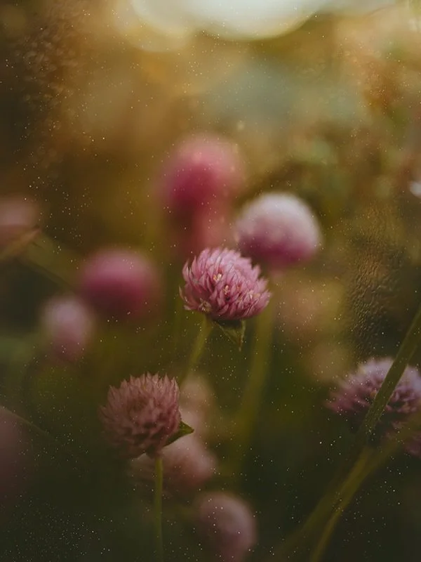 &ldquo;Other women had to fight and achieve the right for us to be where we are right now.&rdquo; -Tanyaradzwa &ldquo;Tanya&rdquo; Muzinda

📸

Our community of @clickprophotographers have come together to amplify our voice as women photographers. Ne