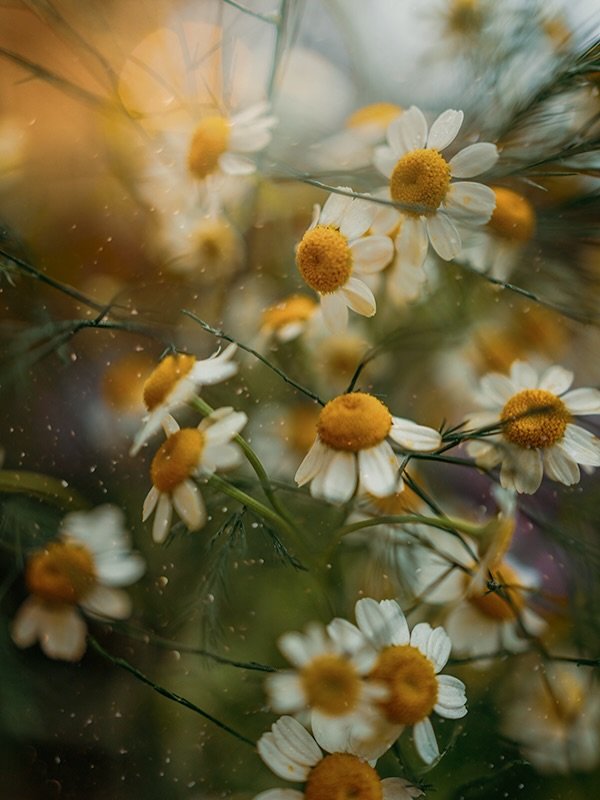 We&rsquo;re downsizing so that means spring cleaning is in high gear! 😮&zwj;💨 

I'm busy sorting through everything and will be letting go of some awesome items, including camera bags, lenses, and prints. Will be putting some things with prices in 