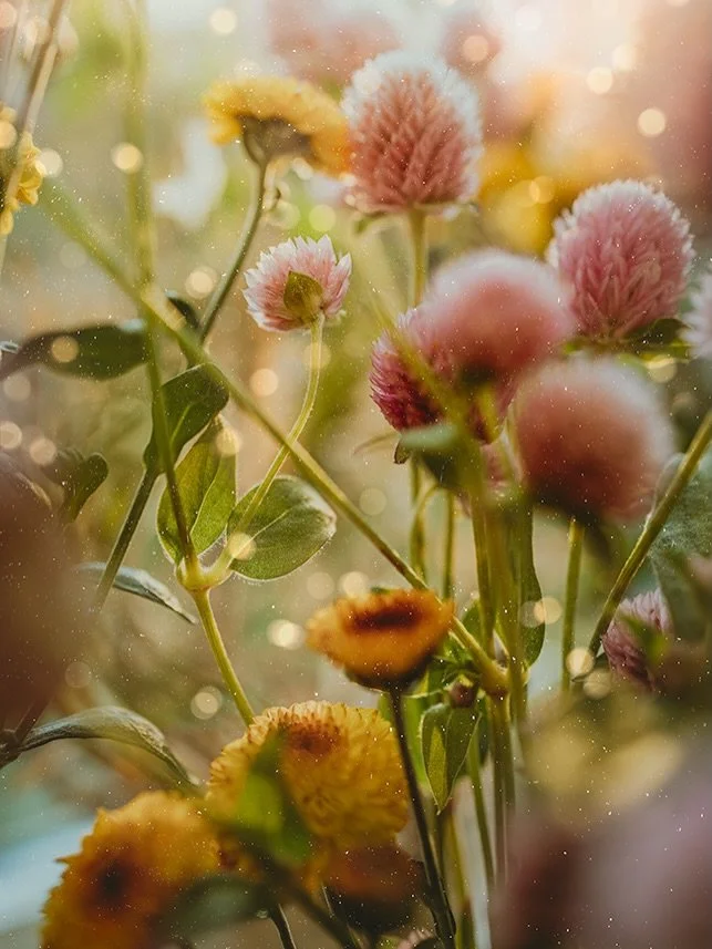 We&rsquo;re finally moving this week but staying in the same neighborhood. I&rsquo;m still in the middle of a huge pile of stuff that I need to sort out and somehow it has to happen before Friday. Wish me luck 🤪

Happy week everyone!

🌸 Edited with