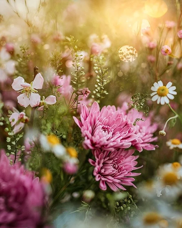 I celebrated Mother's Day early with my kids because today I&rsquo;m traveling to Mexico to be with my mom for a few weeks, so we&rsquo;ll celebrate together 🌸💕

Have a beautiful day friends 🌿

&copy;️Lucy Ketchum 2024

#flora_addict #flowerstagra