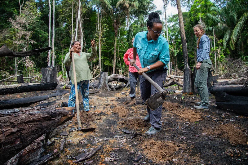 Auntie Paulette provides instruction to Miami University students in planting yucca.
