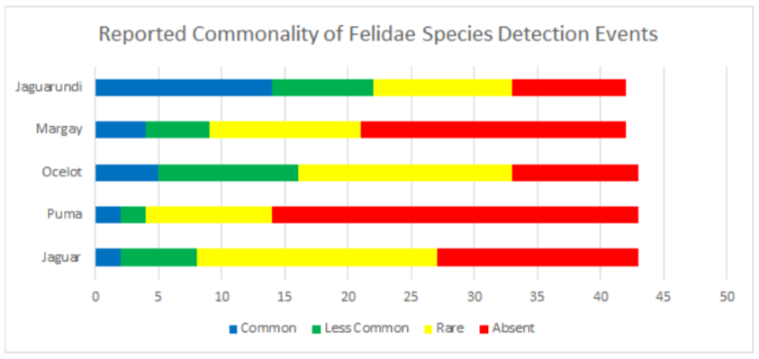 Dewey 9.9 Reported Commonality of Felidae Species Detection Events.png