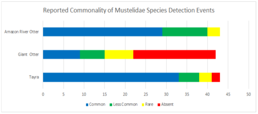 Dewey 9.11 Reported Commonality of Mustelidae Detection Events.png