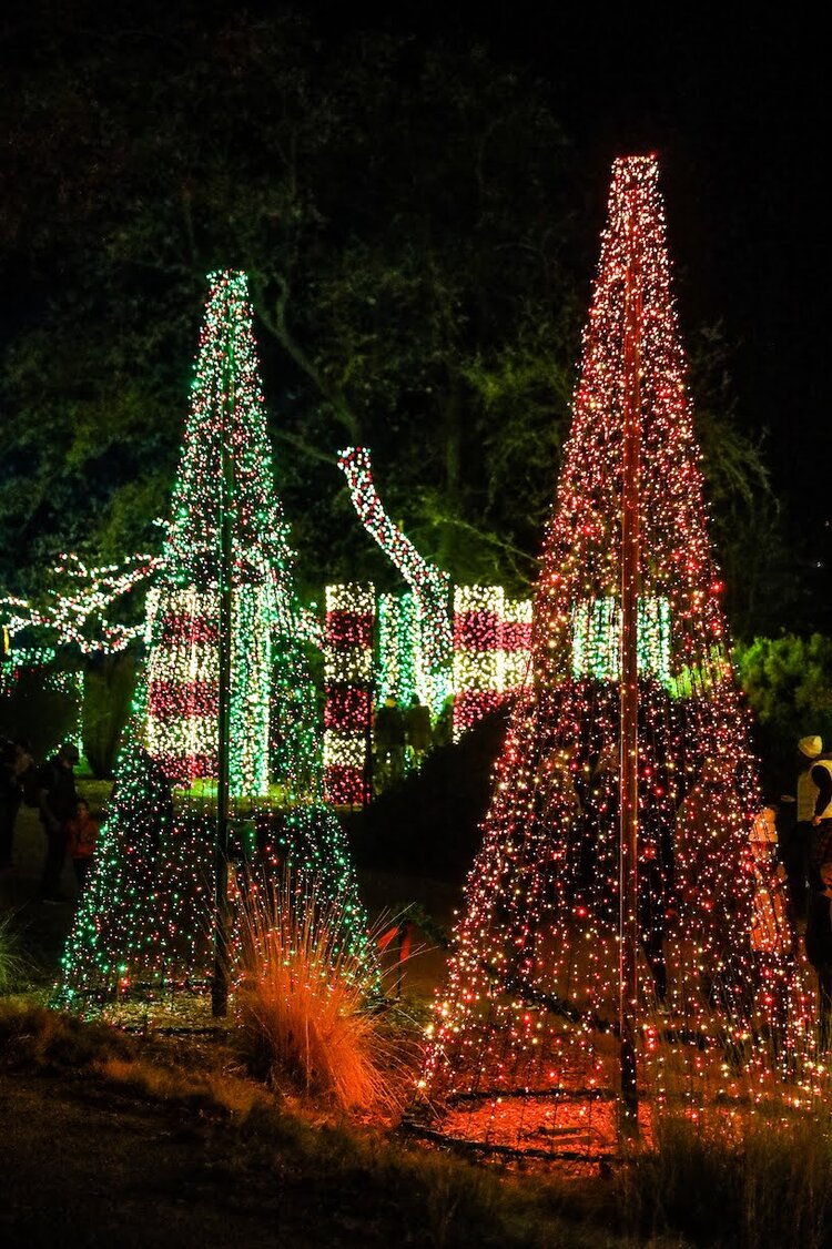 Redding+Garden+of+Lights+Turtle+Bay+McConnell+Arboretum+Botanical+Gardens+Sundial+Bridge+California+Christmas+Christmas+Festival+11.jpg?format=750w