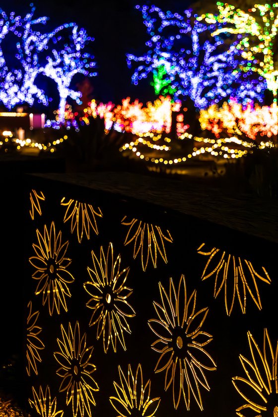 Redding Garden of Lights Turtle Bay Sundial Bridge Seth McGaha Redding California Christmas Lights43.jpg