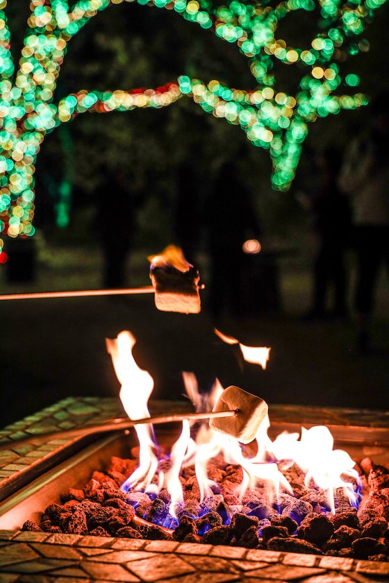 Redding Garden of Lights Turtle Bay Sundial Bridge Seth McGaha Redding California Christmas Lights16.jpg