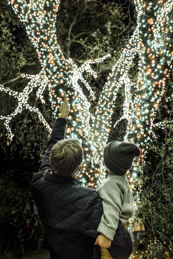 Redding Garden of Lights Turtle Bay Sundial Bridge Seth McGaha Redding California Christmas Lights6.jpg