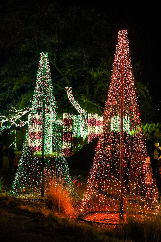 Redding Garden of Lights Turtle Bay Sundial Bridge Seth McGaha Redding California Christmas Lights4.jpg