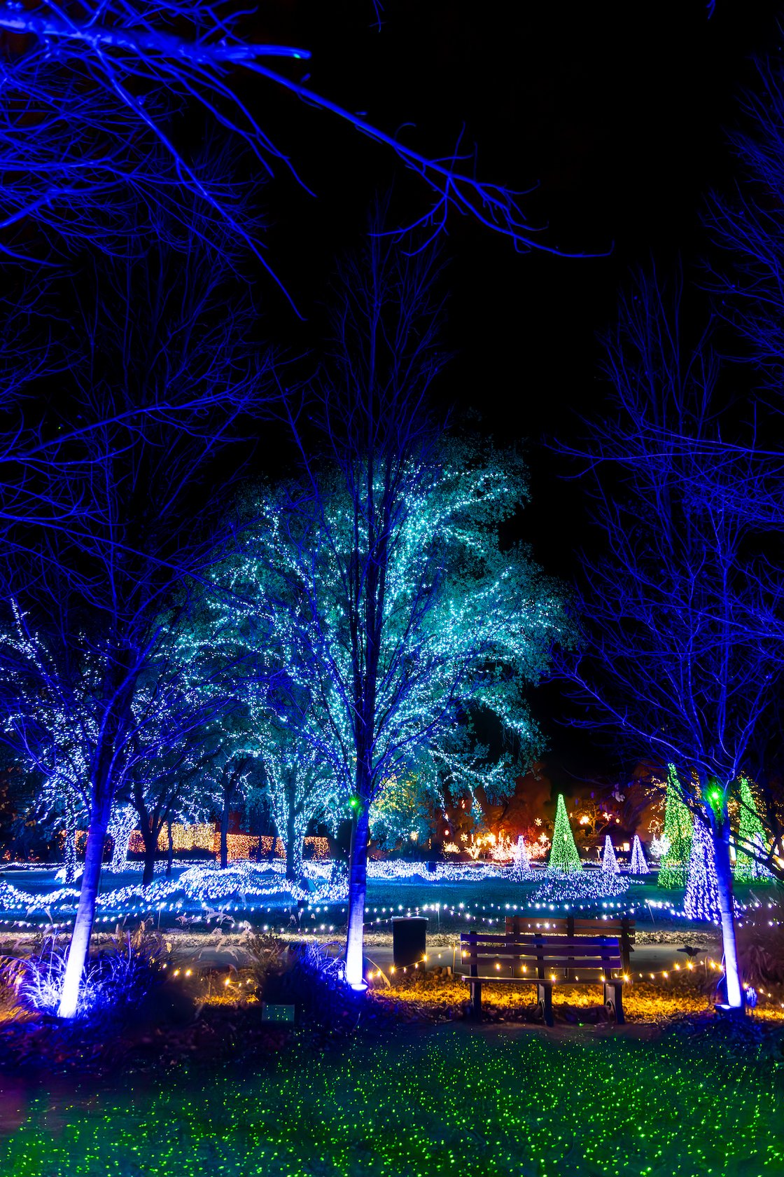 Redding Garden of Lights .jpg