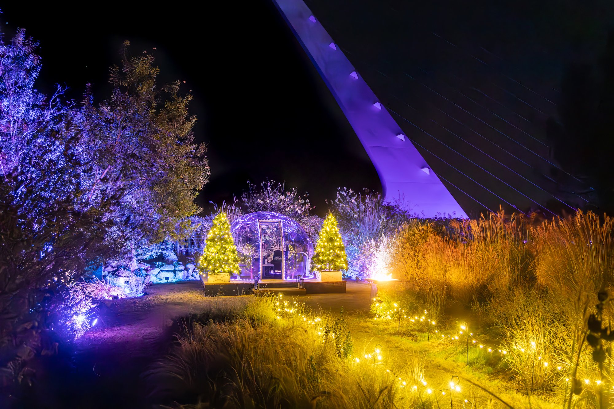 Turtle Bay Redding Garden of Lights Seth McGaha Photography VIP Dining Dome 2.jpg