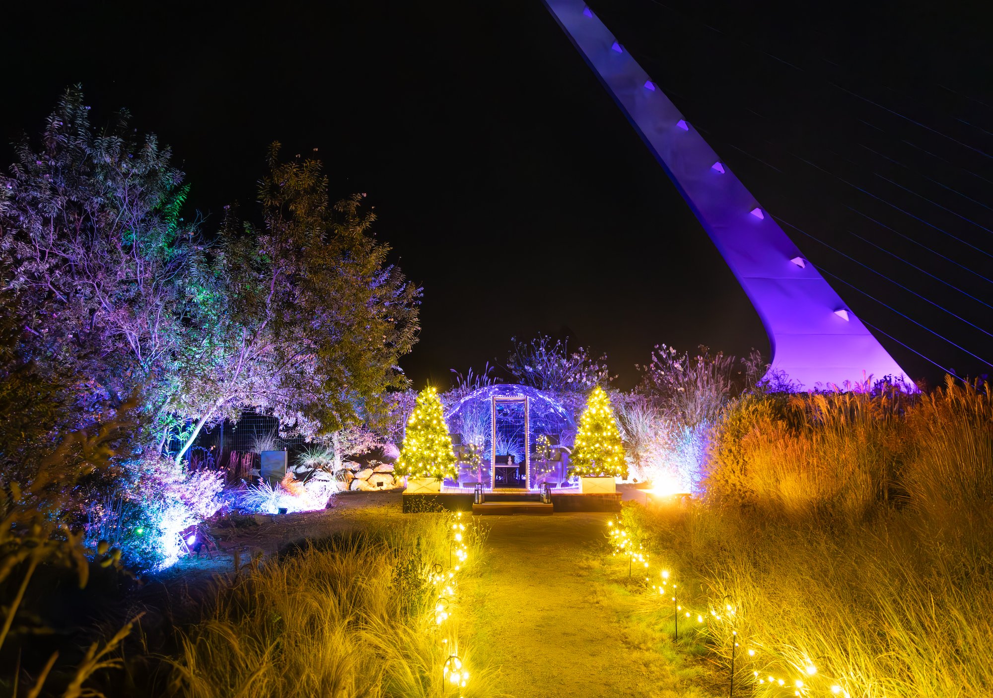 Turtle Bay Redding Garden of Lights Seth McGaha Photography VIP Dining Dome 3.jpg