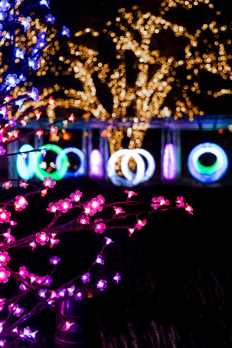 Turtle Bay Redding Garden of Lights Glowing Swings CHristmas Lights Shasta County Califorina 4.jpg