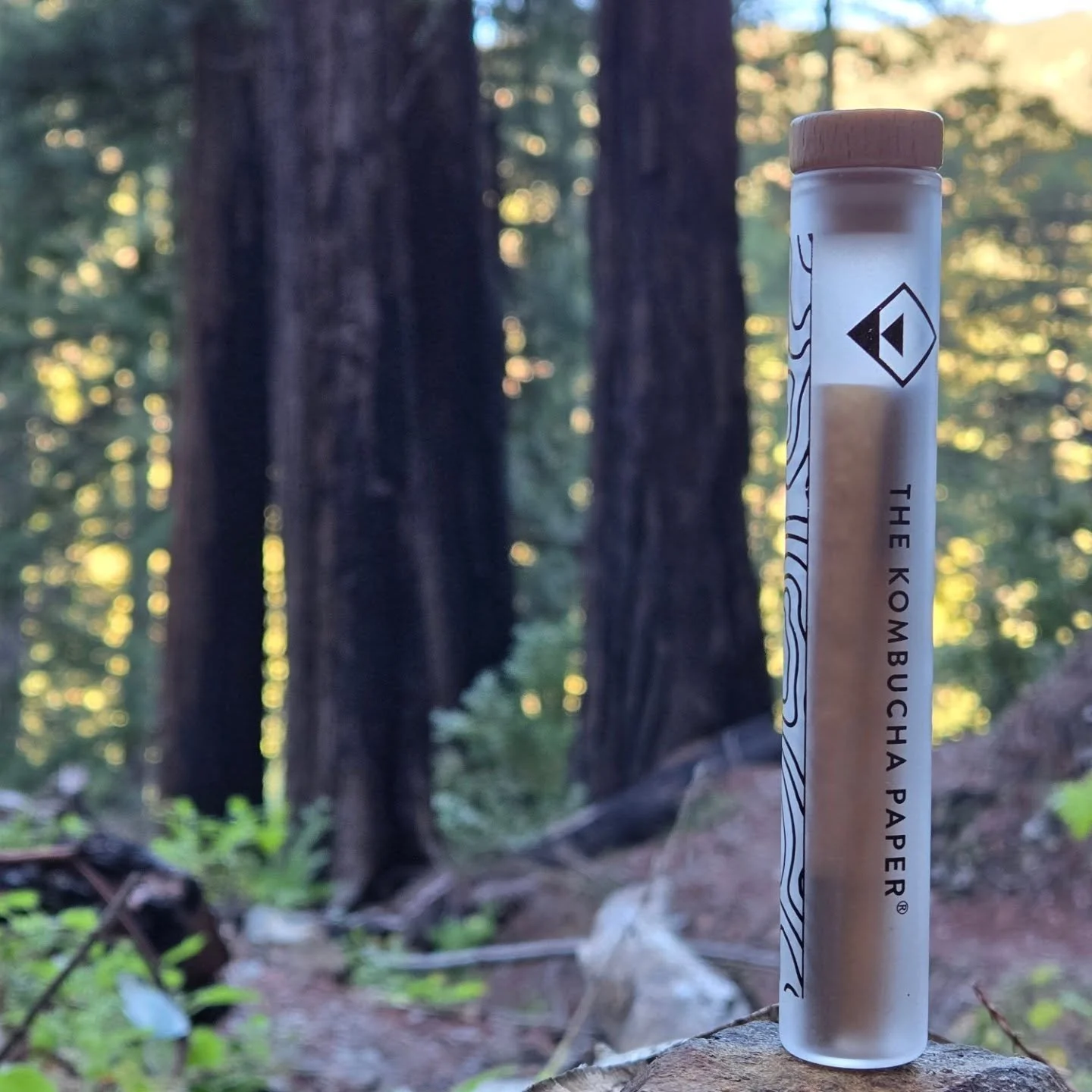 We stand with trees. ✊️🌳

Keep the plants planted.

Love you Big Sur, thanks for all you taught me!

#kombuchapaper #treeconservation #paperlover #innovationinmotion #biodesign