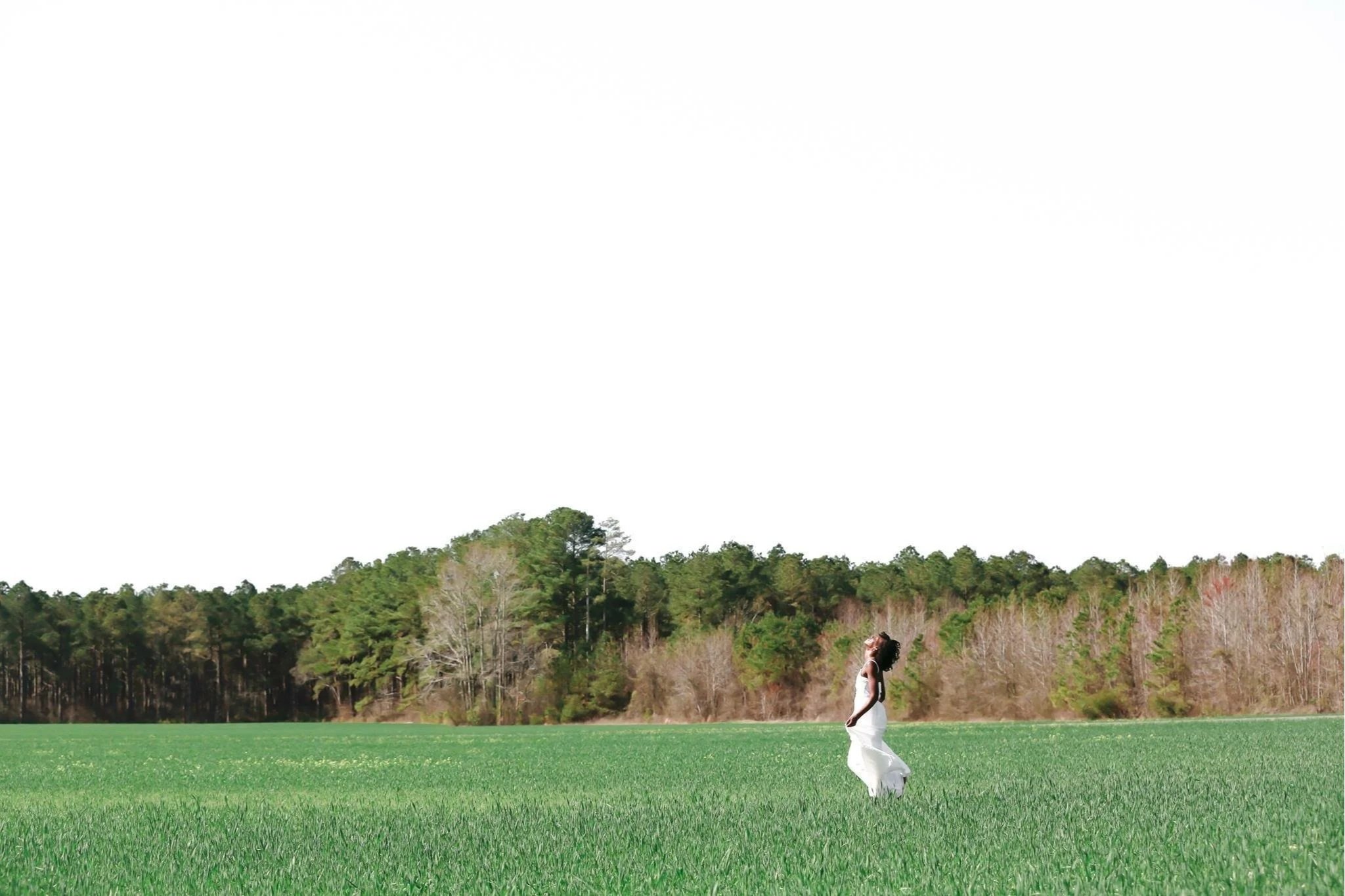 Lakia running in open field.jpg
