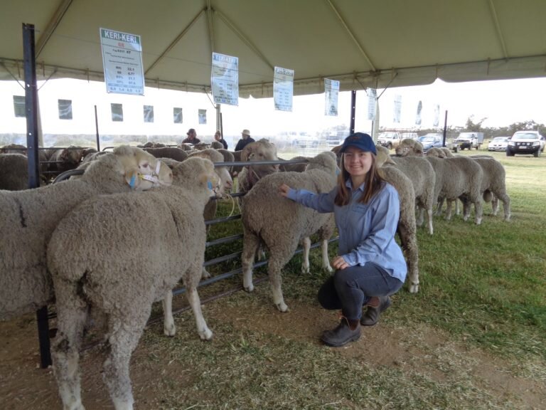 Amie Jones from England working at her first livestock sale. (Copy)
