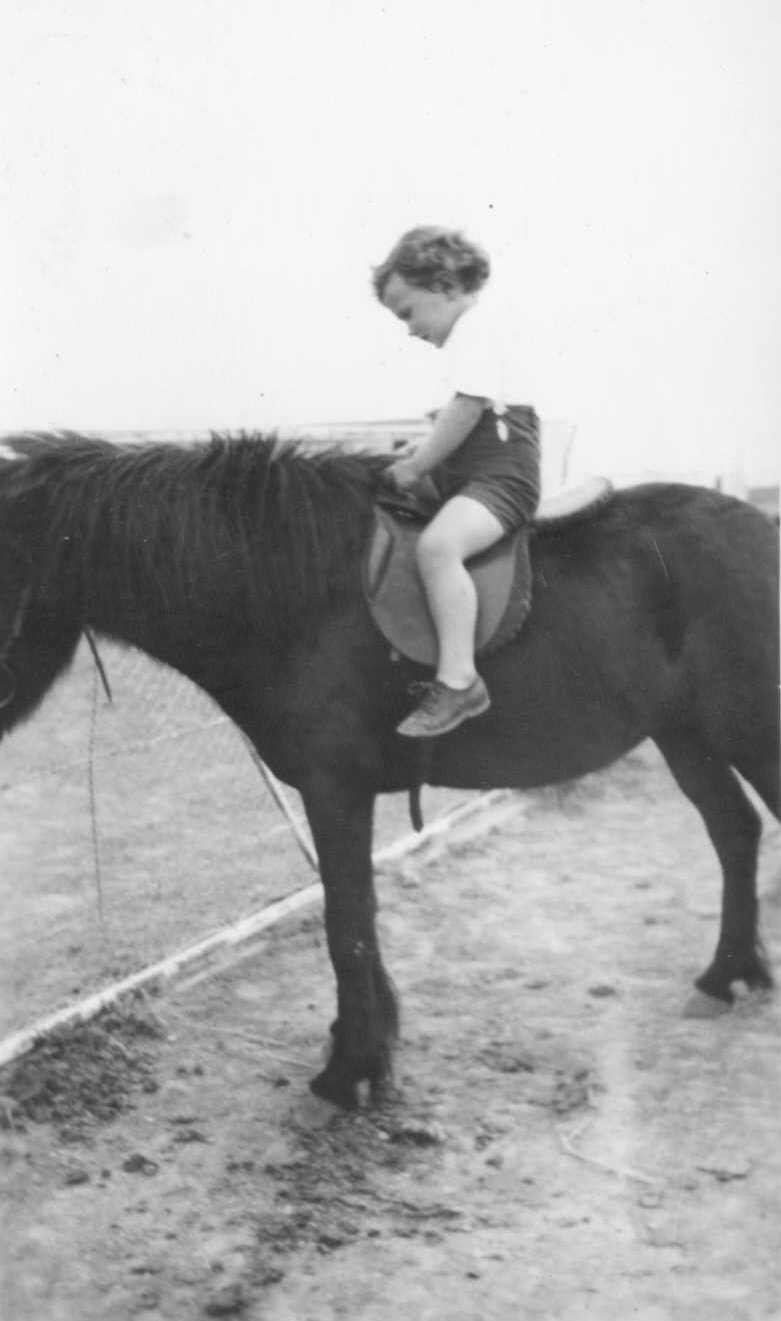 PRD child on horse.jpg