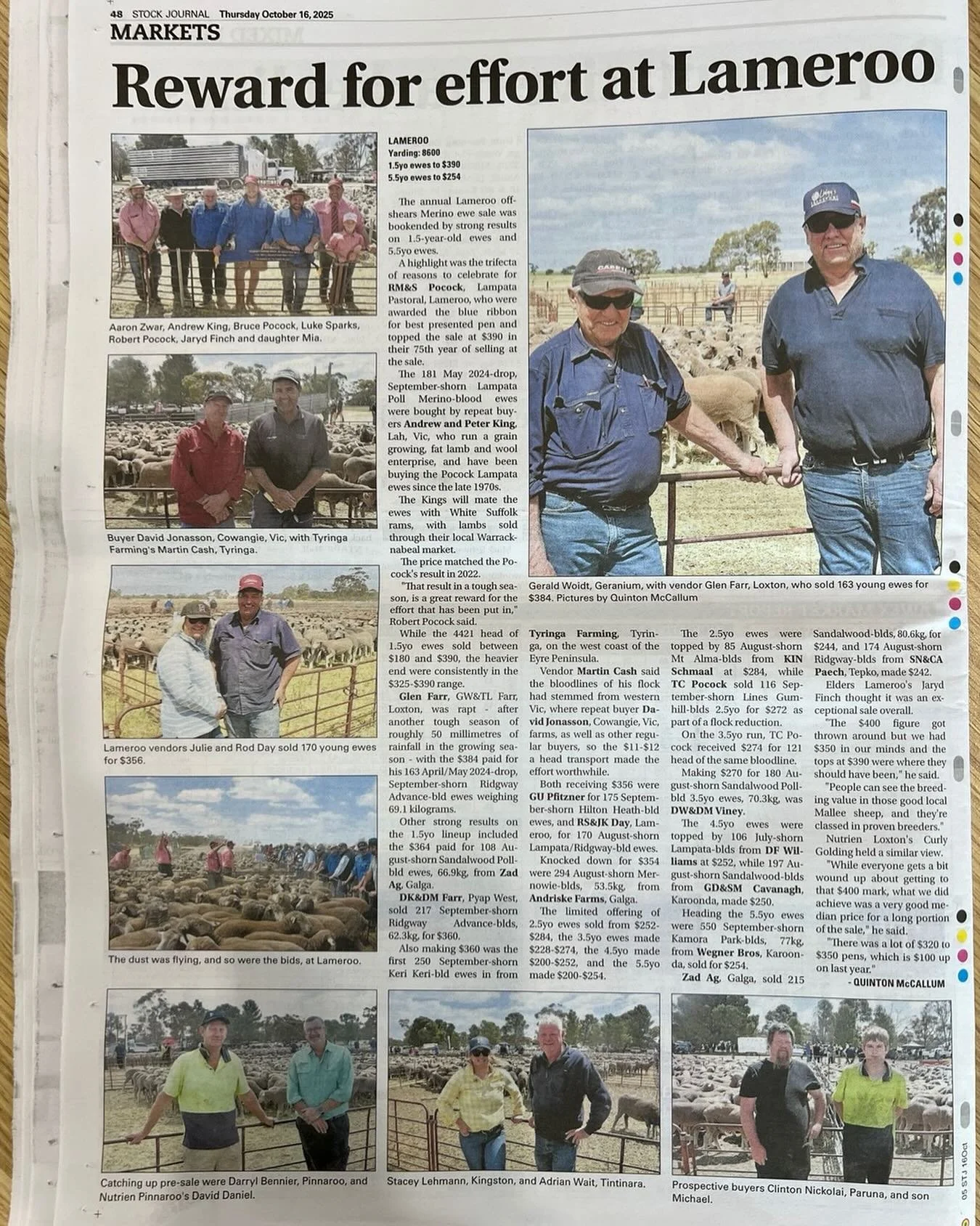 Congratulations to the Cash Family for making $360- on the first 250 of their line of ewes at Lameroo&rsquo;s annual Off-Shears sale recently 👏 👏👏