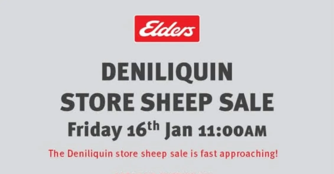 SAVE THE DATE :  KERI-KERI EWES WILL BE AVAILABLE AT THIS SALE.  MORE DETAILS COMING SOON.