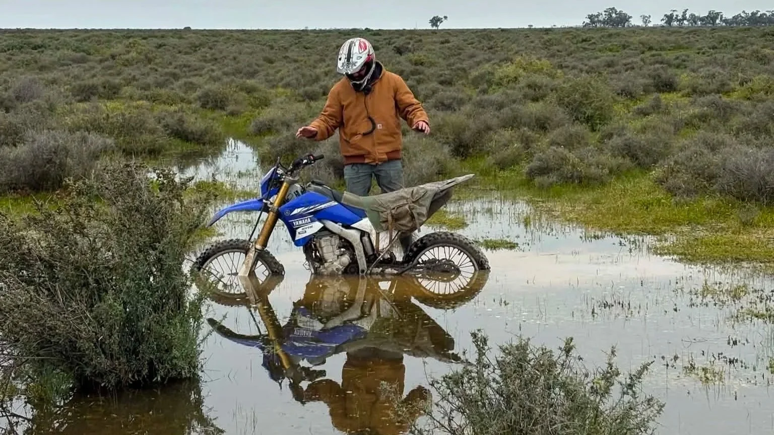 a5b51b1e-eeb0-41c7-99ce-8a5990a90f64.jpg