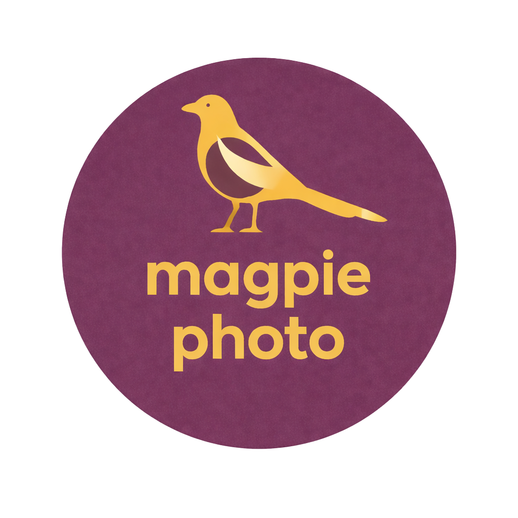magpie photography