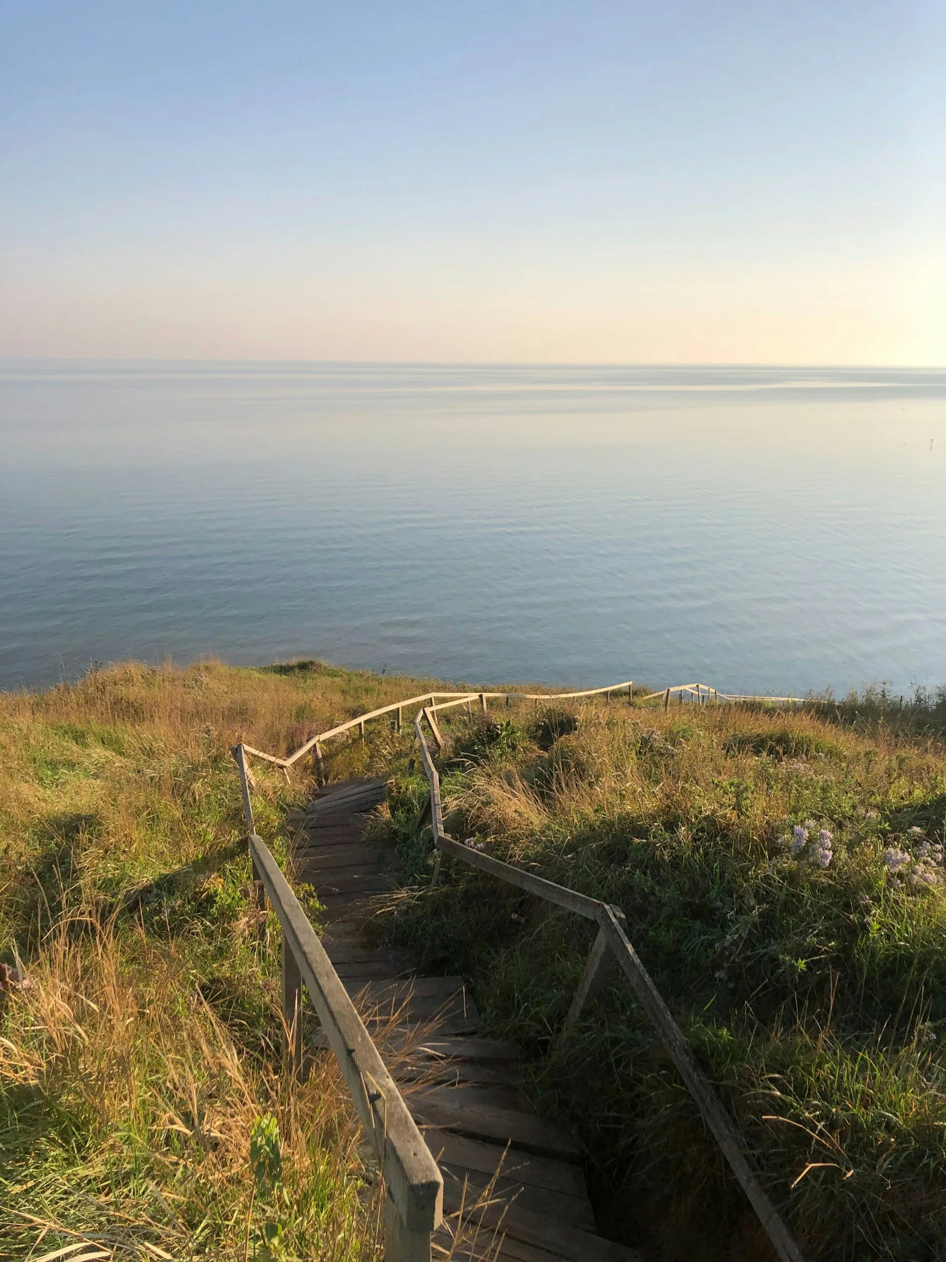 Wooden staircase leading down through grassy dunes toward a calm ocean at sunset.