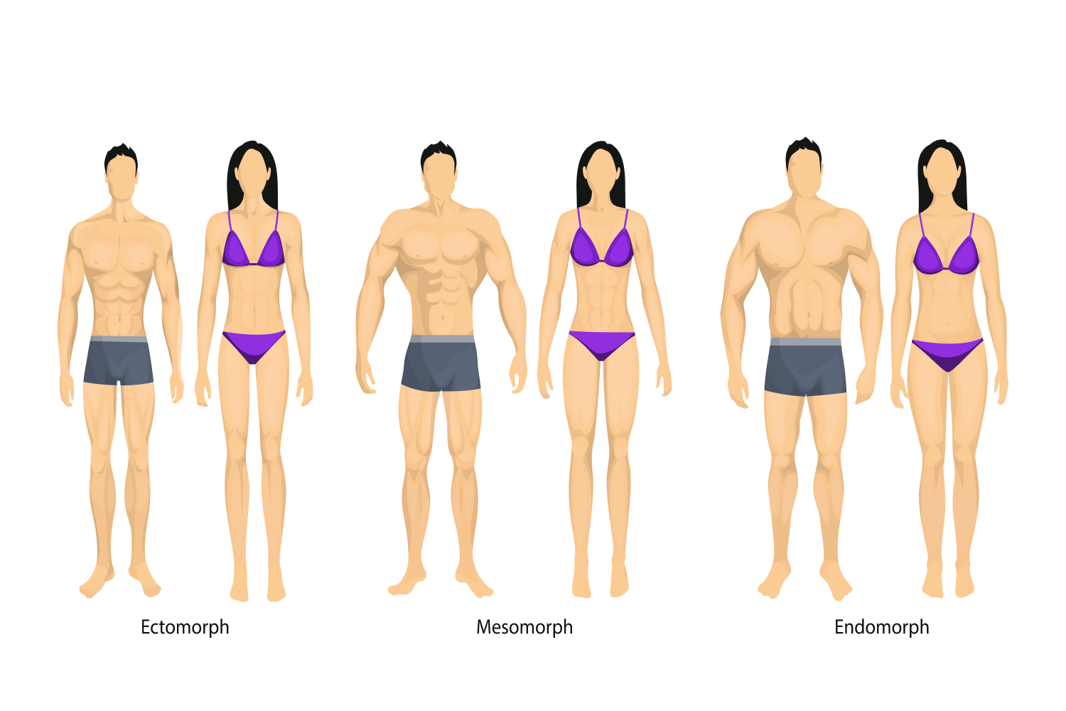 Body Types: Endomorph/Mesomorph/Ectomorph - 06 28 2023 