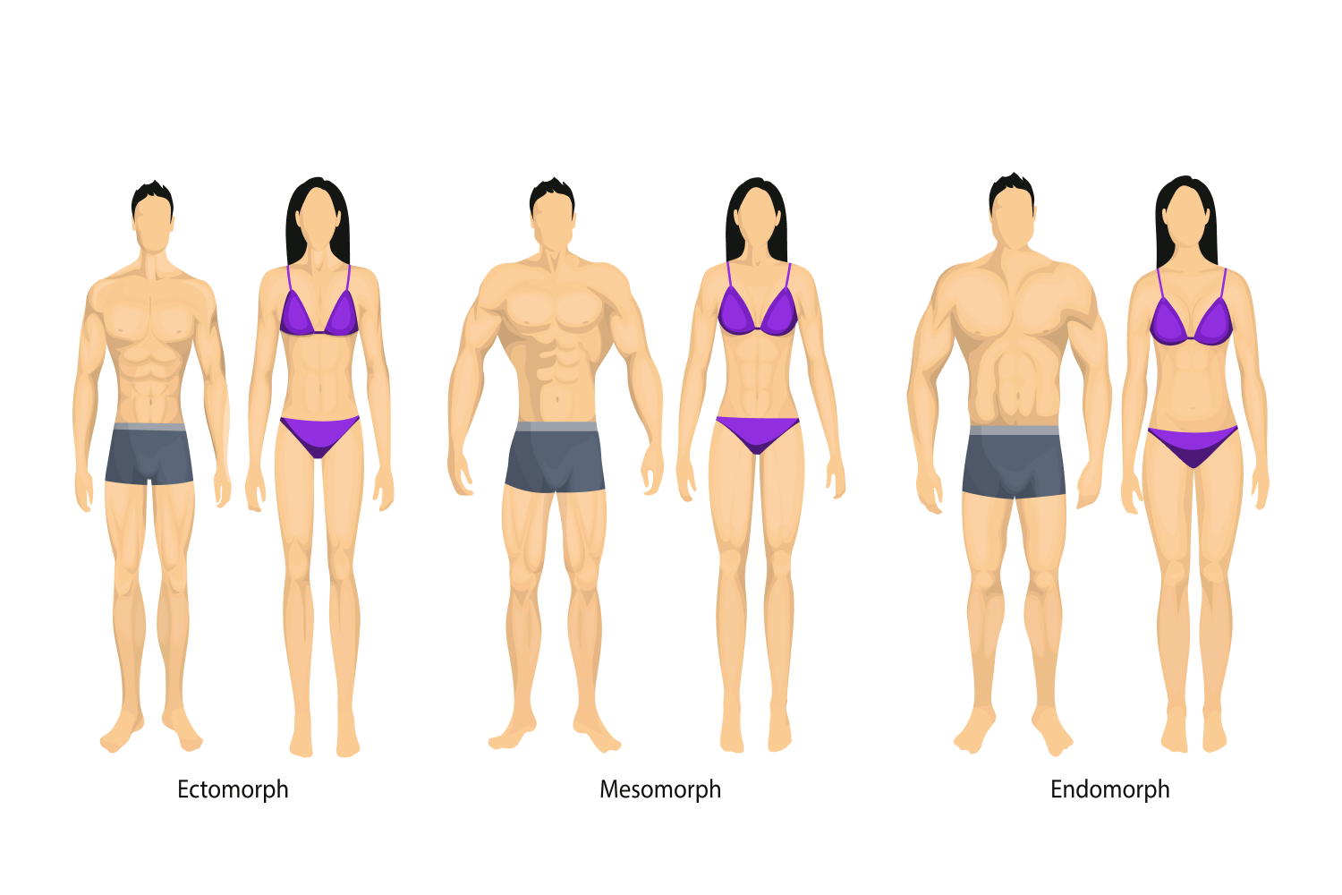 The Male Body Types: Ectomorph, Endomorph, Mesomorph