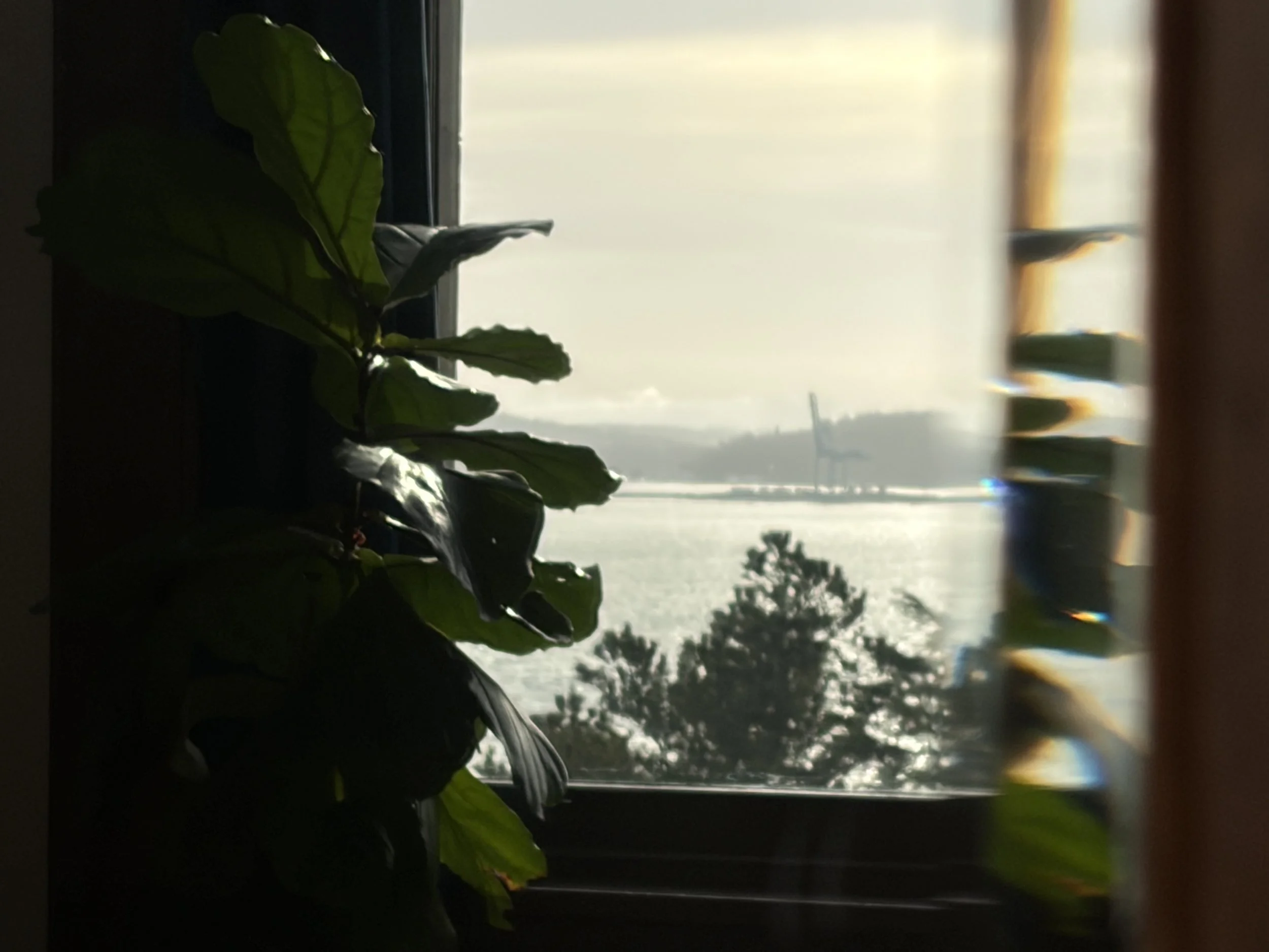 Port Townsend Massage Therapist