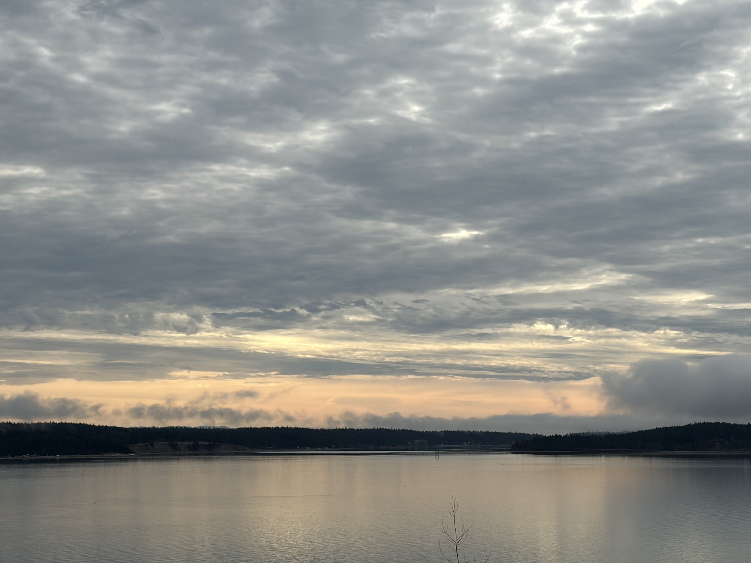 Port Townsend Massage Therapist